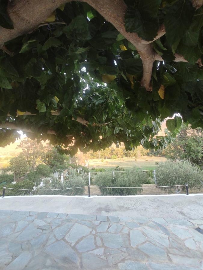 הוילה Ándros House Moschα מראה חיצוני תמונה